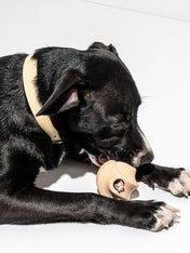 Wild-one-accessoire-chien-design-balle-twist-toss-beige