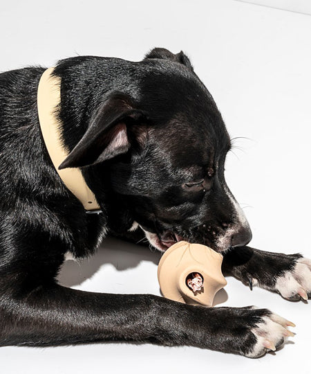 Wild-one-accessoire-chien-design-balle-twist-toss-beige