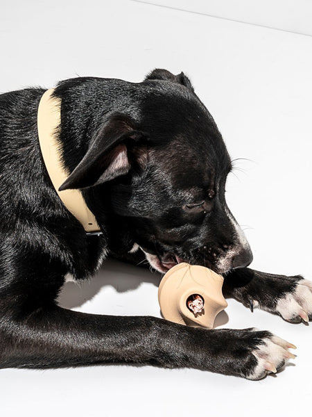 Wild-one-accessoire-chien-design-balle-twist-toss-beige