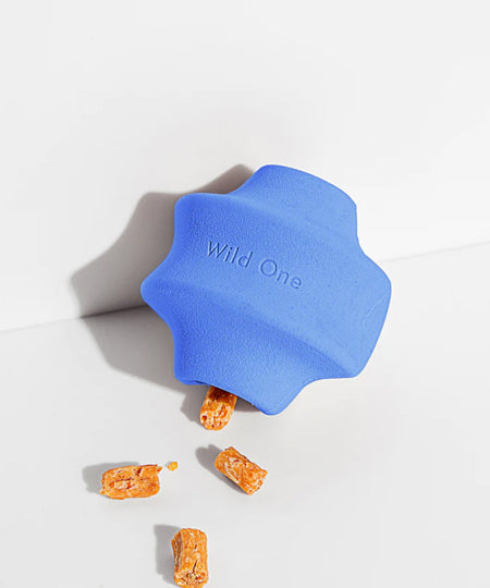 Wild-one-accessoire-chien-design-balle-twist-toss-bleu-clair