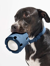 Jouet interactif pour chien - Tennis Tumble - Bleu - inooko