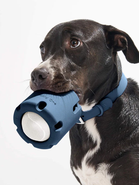 Jouet interactif pour chien - Tennis Tumble - Bleu - inooko