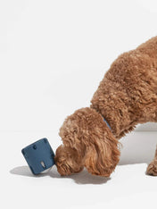 Jouet interactif pour chien - Tennis Tumble - Bleu - inooko