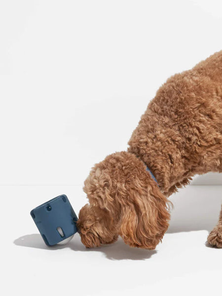 Jouet interactif pour chien - Tennis Tumble - Bleu - inooko