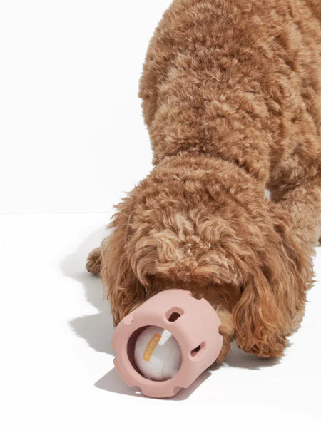 Wild-one-jouet-interactif-balle-tennis-Tumble-rose