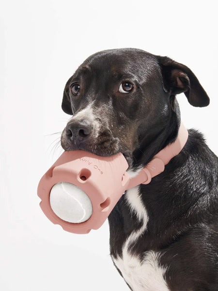 Wild-one-jouet-interactif-balle-tennis-Tumble-rose