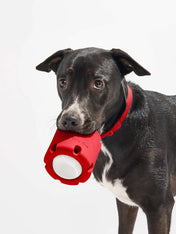 Wild-one-jouet-interactif-balle-tennis-Tumble-rouge