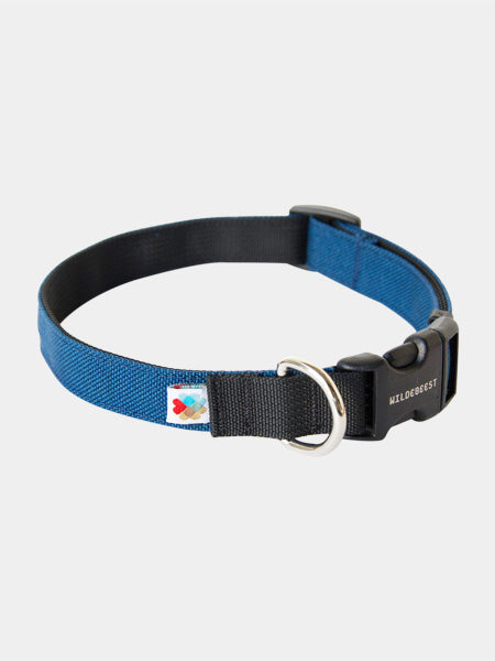 Wildebeest-collier-de-qualite-pour-chien-bleu