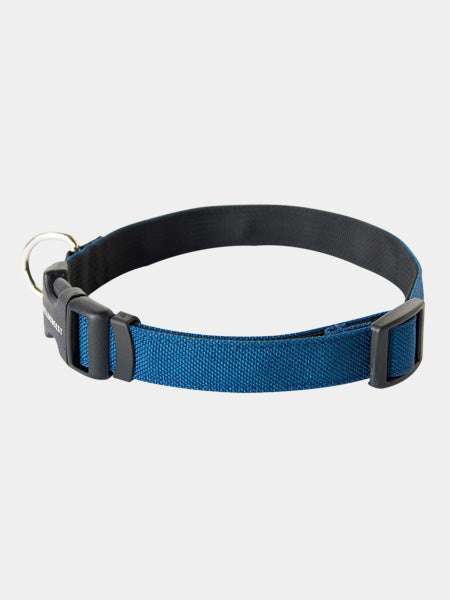 Wildebeest-collier-de-qualite-pour-chien-bleu