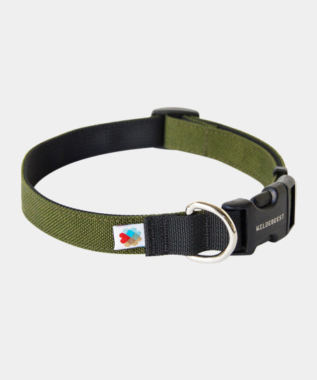 Wildebeest-collier-de-qualite-pour-chien-vert