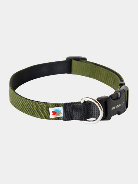 Wildebeest-collier-de-qualite-pour-chien-vert