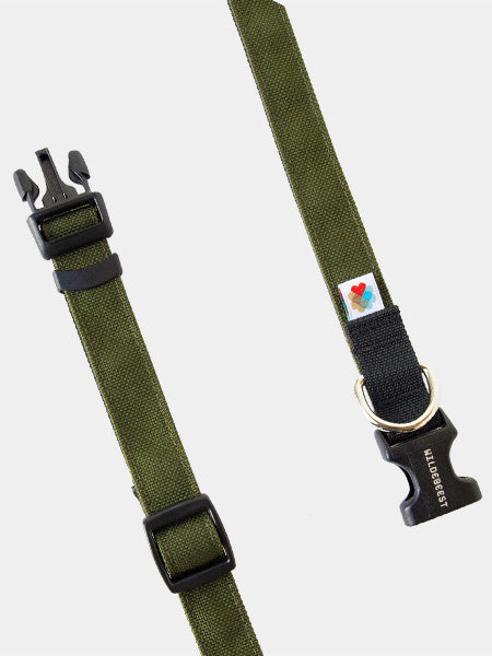 Wildebeest-collier-de-qualite-pour-chien-vert