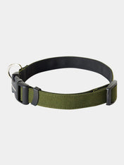 Wildebeest-collier-de-qualite-pour-chien-vert