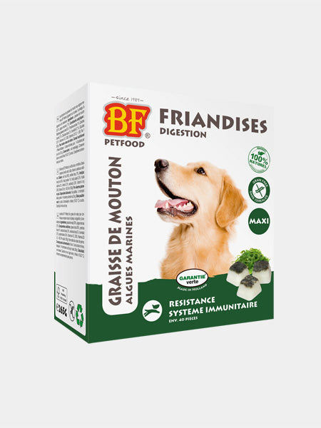 biofood-friandises-chien-algues-marine-peau-pelage-chien