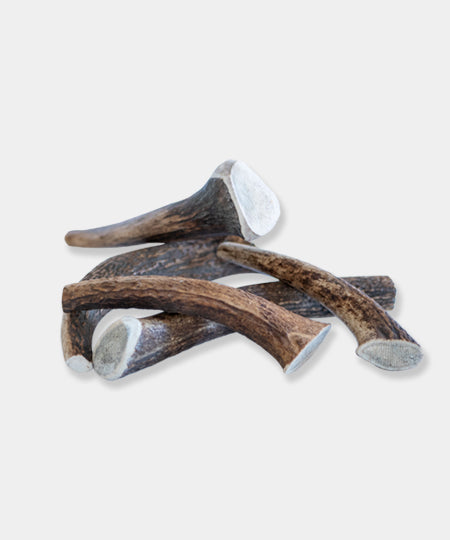 bois-de-cerf-a-macher-pour-chien-inooko