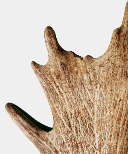 Bois de daim à mâcher 100% naturel - Taille M