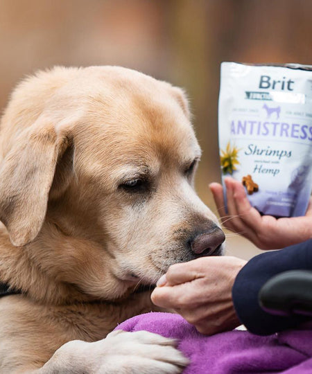 brit-friandises-naturelles-pour-chien-crevette-chanvre-antistress