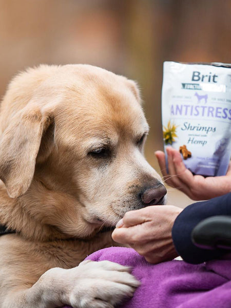 brit-friandises-naturelles-pour-chien-crevette-chanvre-antistress