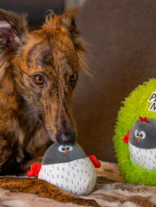 bulltug-peluche-fouille-enrichissement-pour-chien-Peek-N_-Seek