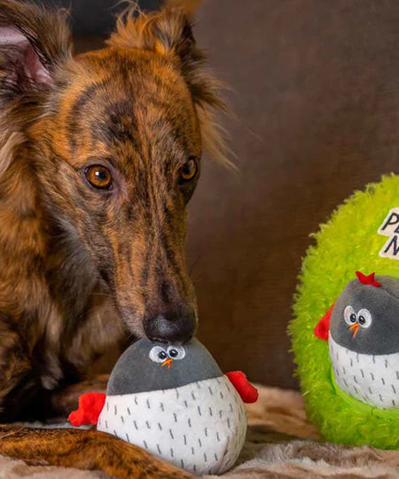 bulltug-peluche-fouille-enrichissement-pour-chien-Peek-N_-Seek