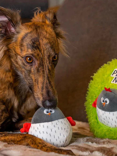 bulltug-peluche-fouille-enrichissement-pour-chien-Peek-N_-Seek