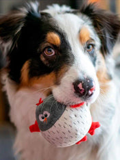 bulltug-peluche-fouille-enrichissement-pour-chien-Peek-N_-Seek