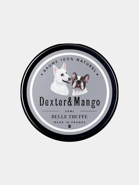dexter-et-mango-soins-pour-chien-belle-truffe