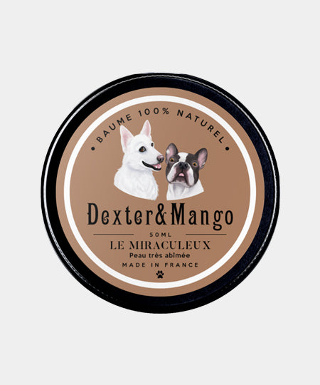 dexter-et-mango-soins-pour-chien-miraculeux