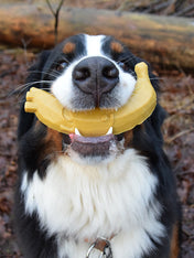 garden-bites-friandises-pour-chien-vegan-large