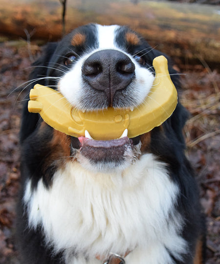 garden-bites-friandises-pour-chien-vegan-large