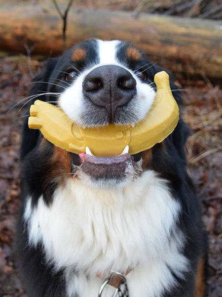 garden-bites-friandises-pour-chien-vegan-large