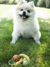 garden-bites-friandises-pour-chien-vegan-small-12pcs