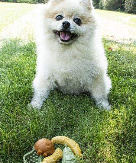 garden-bites-friandises-pour-chien-vegan-small-12pcs