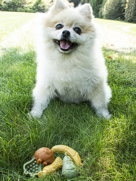 garden-bites-friandises-pour-chien-vegan-small-12pcs