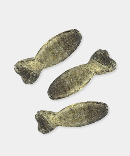 ice-paw-friandises-de-qualite-pour-chien-peau-morue-a-macher