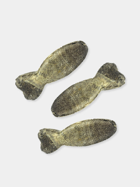 ice-paw-friandises-de-qualite-pour-chien-peau-morue-a-macher