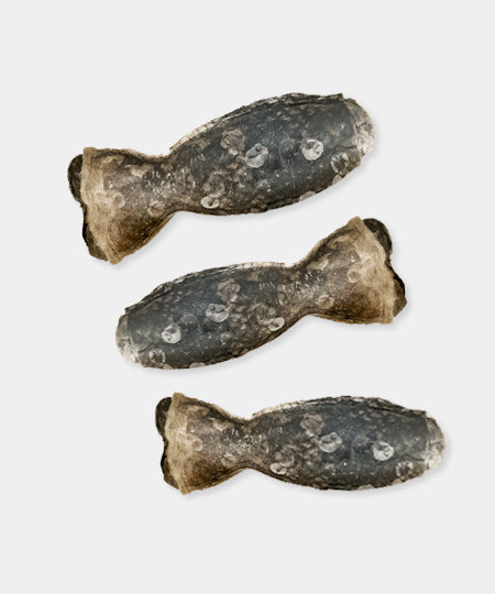 ice-paw-friandises-de-qualite-pour-chien-peau-saumon-a-macher