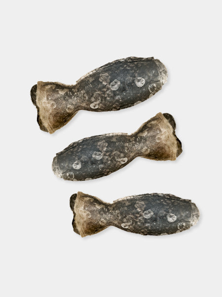 ice-paw-friandises-de-qualite-pour-chien-peau-saumon-a-macher