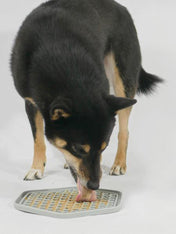 inooko-tapis-occupation-pour-chien