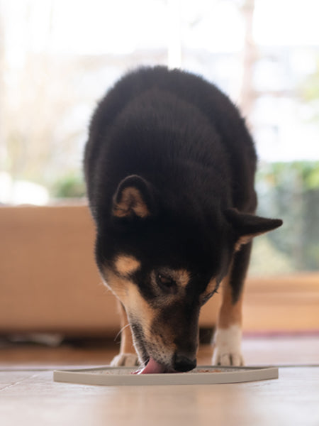 inooko-Tapis-occupation-puzzle-pour-chien