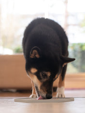 inooko-TapisYoomYMat-Dusty-green