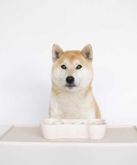 inooko-gamelle-antiglouton-pour-chien