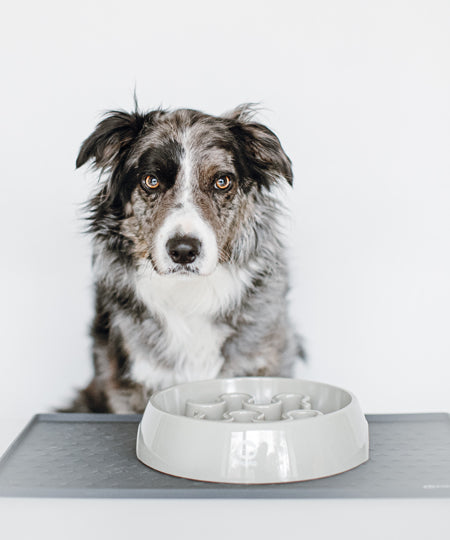 inooko-Tapis-de-gamelle-chien-protection-sol