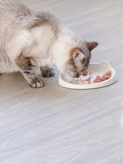 inooko-gamelle-design-pour-chat