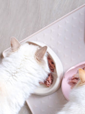 inooko-gamelle-originale-pour-chat