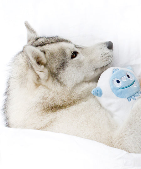inooko-peluche-eco-friendly-pour-chien