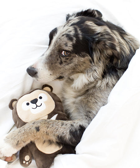 inooko-peluche-eco-friendly-pour-chien