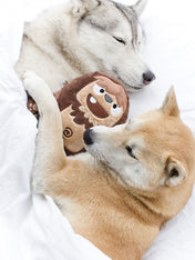 inooko-peluche-eco-friendly-pour-chien