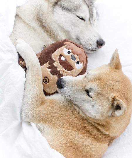 inooko-peluche-eco-friendly-pour-chien