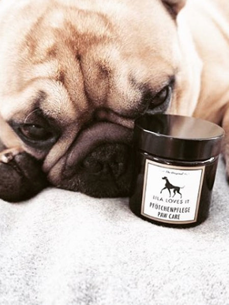 Lila-loves-it-baume-coussinets-pour-chien-apaisant